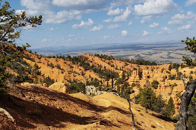Rubys Horseback Adventures Utah Thunder Mt. 4 Hour Ride - Old West and Indigenous Trails