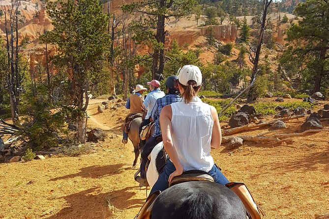 Rubys Horseback Adventures Utah Thunder Mt. 4 Hour Ride - Suitable for All Skill Levels