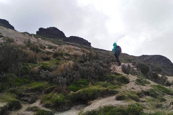 Ruco Pichincha Summit Hike - Pricing and Cancellation Policy