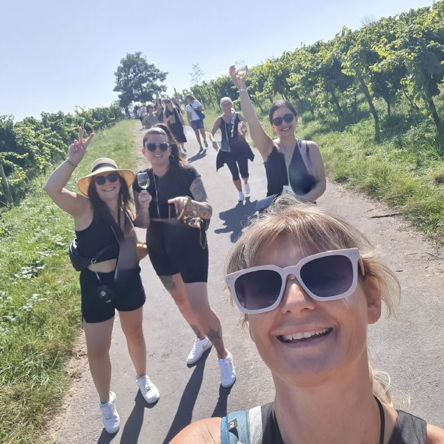 Rüdesheim Am Rhein: Wine Hike and Sights - Activity Itinerary and Highlights