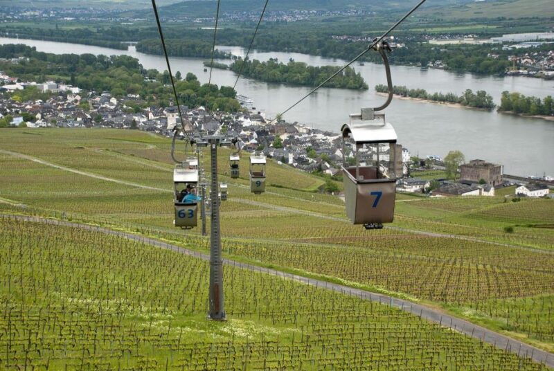 Rüdesheim: Private Guided Walking Tour - Local Attractions