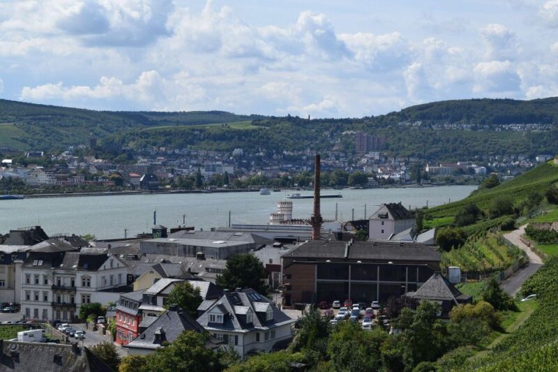 Rüdesheim: Private Guided Walking Tour - Wine-making Heritage