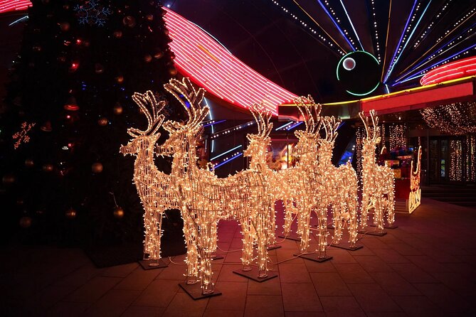 Rudolphs Holiday Lights Tour of San Diego - Tour Inclusions and Accessibility