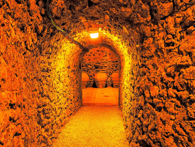 Ruinart Tasting and Fun Private Tour in Champagne - Visiting Ruinart Champagne House