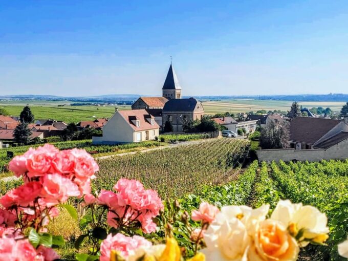 Ruinart Tasting and Fun Private Tour in Champagne - Exploring Reims Cathedral of Notre Dame