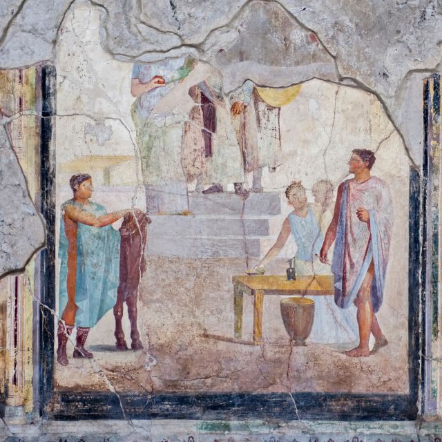 Ruins,Finds and Tastings:A Tour Between History and Flavours - Comfortable Transportation and Assistance