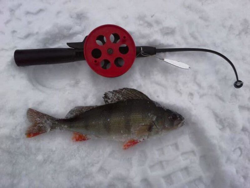 Ruka: Ice Fishing Trip - What to Expect