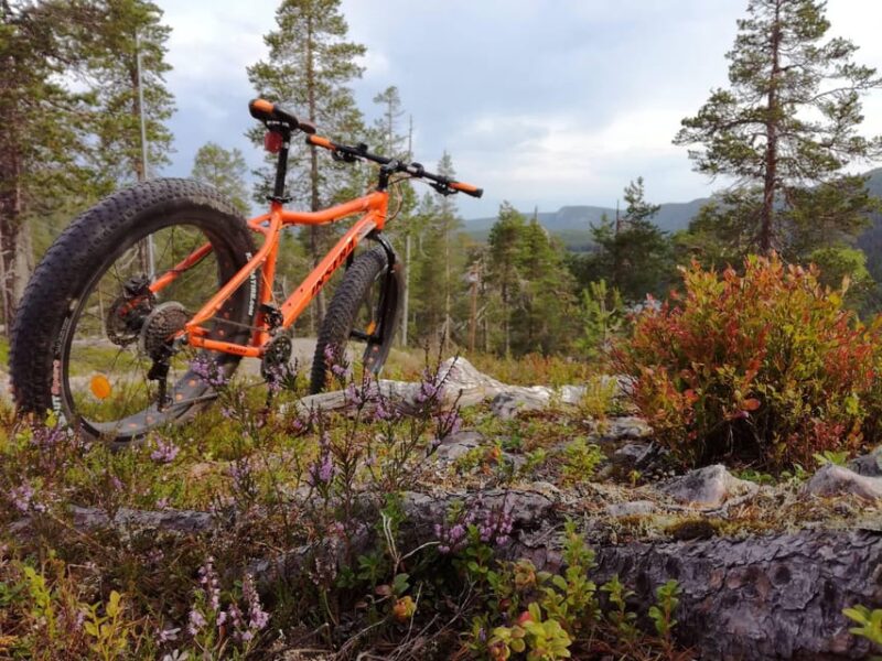 Ruka : Into the Forest With Fatbikes - Good To Know
