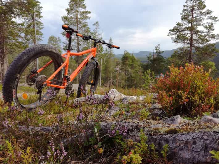 Ruka : Into the Forest With Fatbikes - Experience Highlights