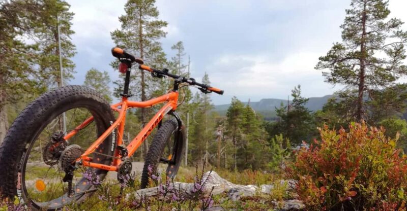 Ruka : Into the Forest With Fatbikes - Inclusions