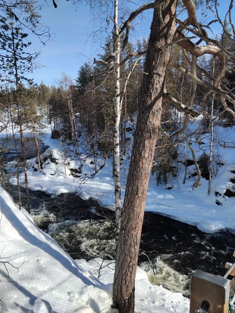 Ruka: Oulanka National Park Kytaköngäs - Guides and Expertise