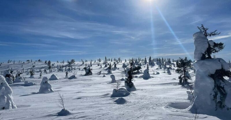 Ruka: Riisitunturi National Park. - Itinerary and Experiences