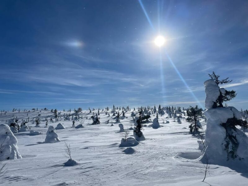 Ruka: Riisitunturi National Park. - Tour Operators