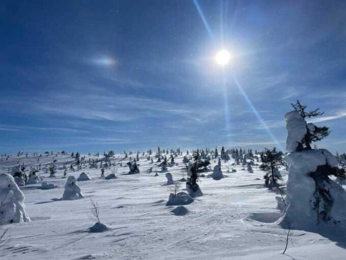 Ruka: Riisitunturi National Park. - Itinerary Changes and Conditions
