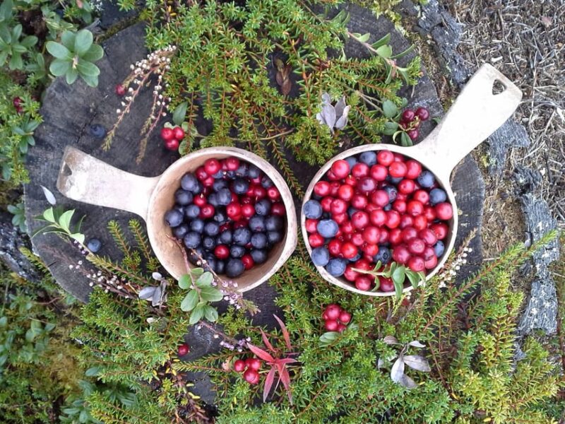 Ruka : Strength From Nature – Hiking Trip - Booking Information