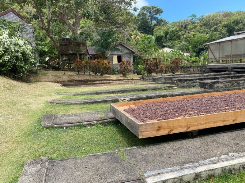 Rum and Chocolate Tour - Key Points