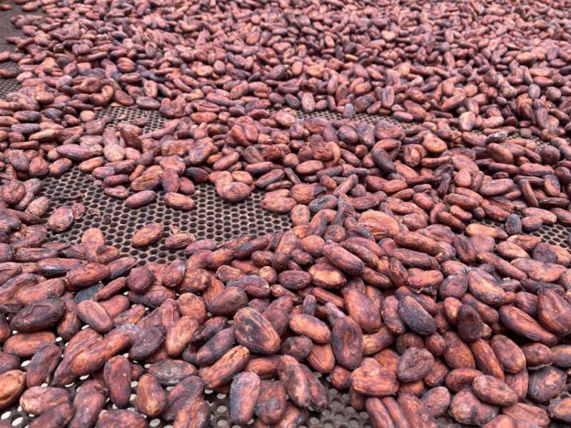 Rum and Chocolate Tour - Customer Feedback