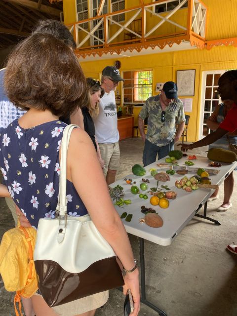 Rum and Chocolate Tour - Chocolate Factories and Sampling