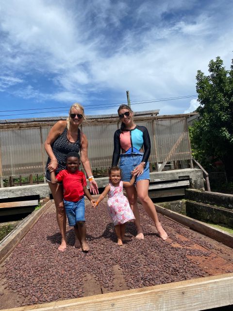 Rum and Chocolate Tour - Cocoa and Sugar Cane Fields