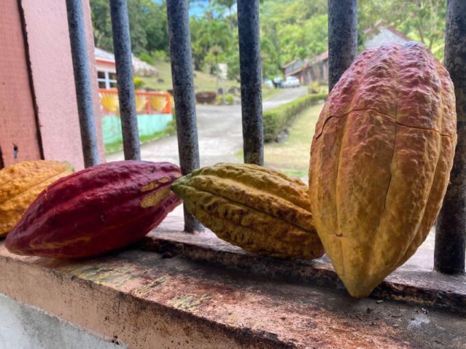 Rum and Chocolate Tour - Frequently Asked Questions