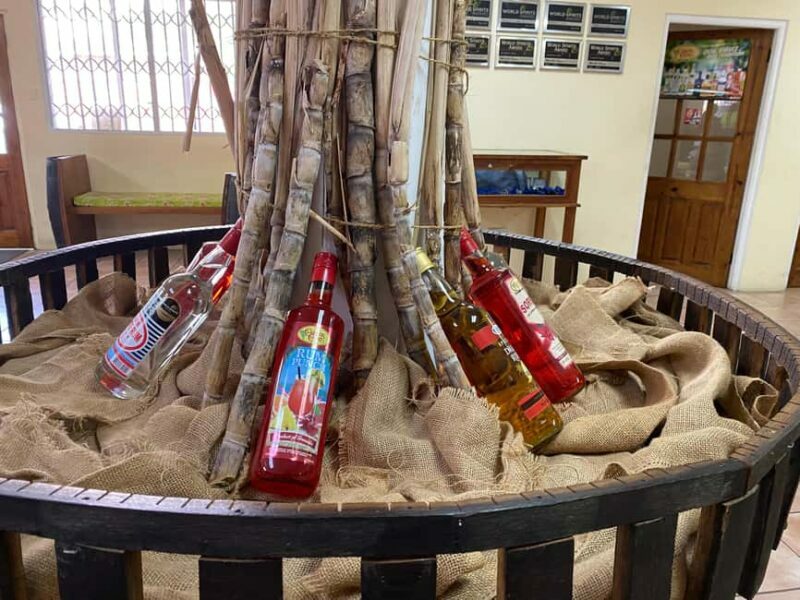 Rum Beer And Beach Tour - The Cultural and Practical Value of the Tour