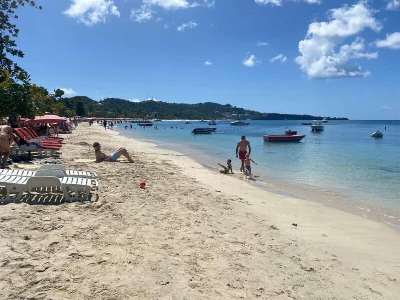 Rum Beer And Beach Tour - Who Will Love This Tour?