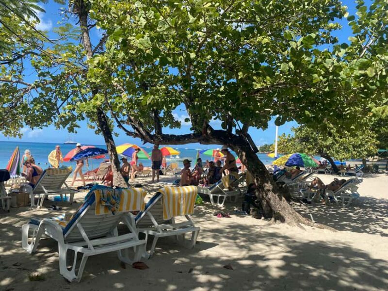 Rum Beer And Beach Tour - Summing Up: Who Should Consider This Experience?
