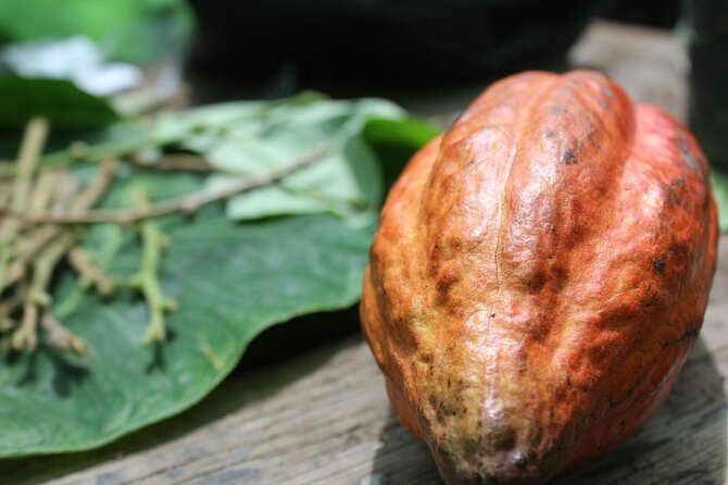 Rum & Chocolate Tasting Tour : Journey Into Flavor - About Your Stay