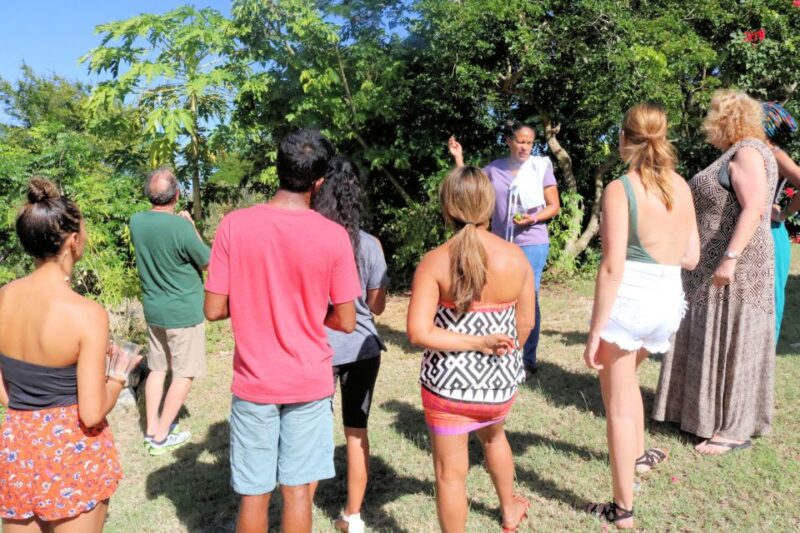 Rum Cooking Class & Tasting - Typical Menu Details