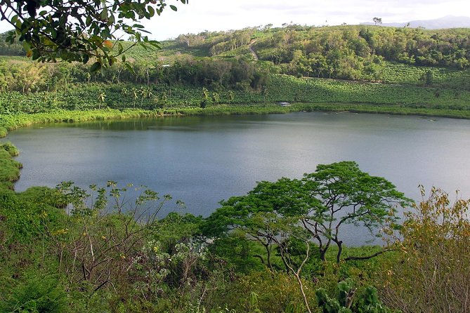 Rum Distilleries Tour (Clarke's Court &/ Water Powered River Antoine - Customer Feedback and Experiences