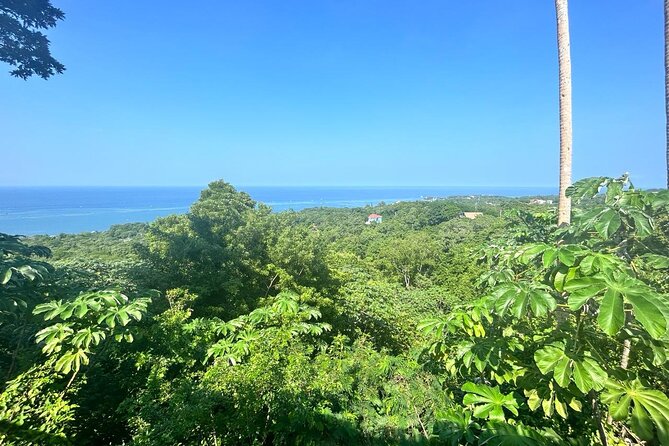 Rum Tasting, Chocolate and Wildlife Adventure - Key Points