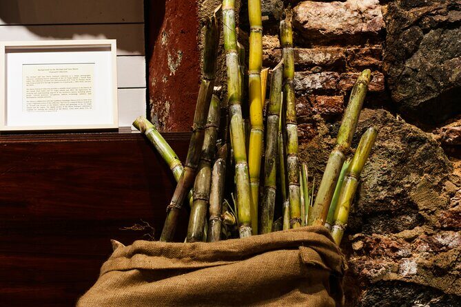 Rum Tasting Experience in the Old Barrel House - FAQ