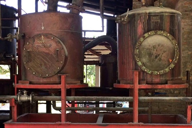 Rum Tour: Exploring the Historic River Antoine Rum Distillery - Traveler Review Highlights