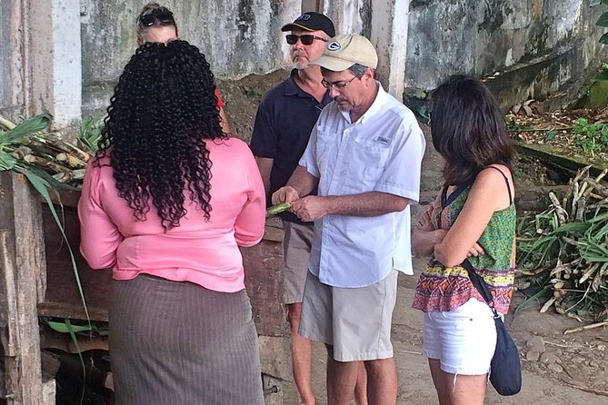 Rum Tour: Exploring the Historic River Antoine Rum Distillery - Accessibility and Health Considerations