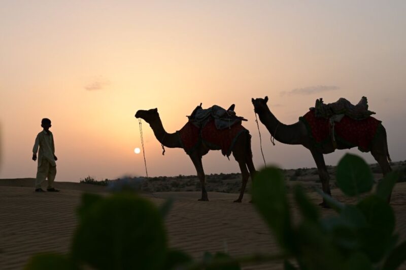 Rumis Desert Camp Resort - Additional Activities