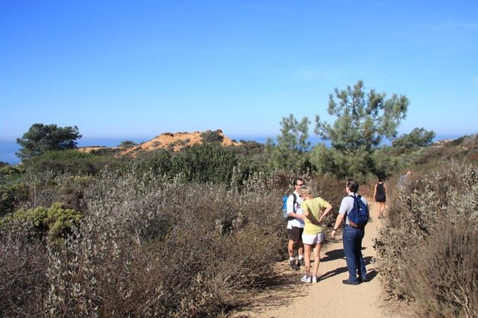 Runyon Canyon Hiking Tour - Tour Inclusions and Amenities