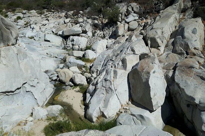 Rural And Hiking Expedition In Sierra La Laguna - An In-Depth Look at the Sierra La Laguna Tour