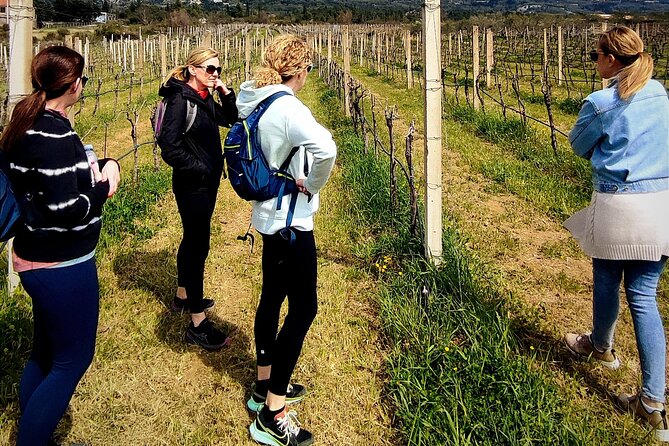 Rural Biking & Wine Tasting Tour in Dubrovnik - Meeting Point and Pickup