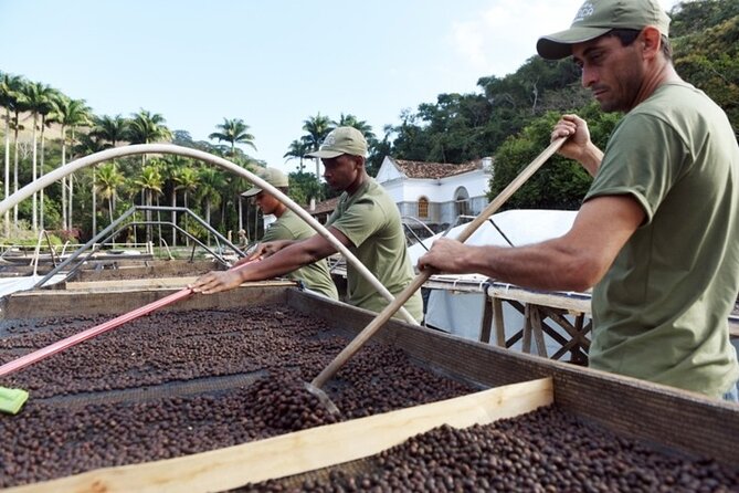Rural Coffee Farm Tour With Breakfast & Lunch - Roasting & Tasting Experience - Additional Tour Details