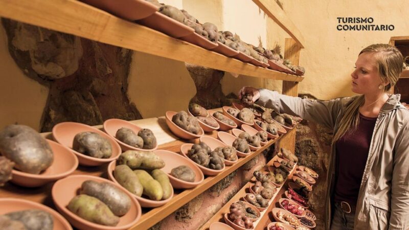 Rural Community Tourism in the Potato Park - Sacred Valley - Key Points