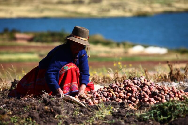 Rural Community Tourism in the Potato Park - Sacred Valley - Itinerary and Highlights