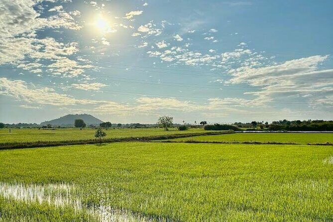 Rural Countryside Experience Tour in Siem Reap - Key Points