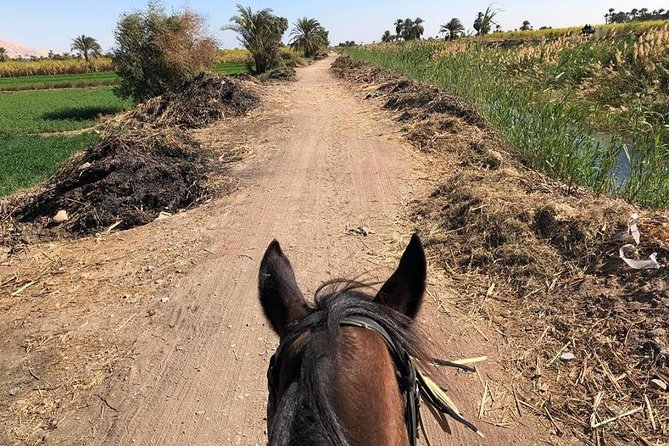 Rural Horse Riding Adventure - Pickup and Transportation