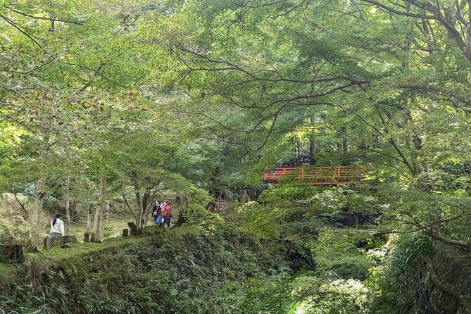 Rural Kyoto One Day Tour of a Tranquil Landscape in Ohara - Savoring a Delightful Kyoto-style Lunch