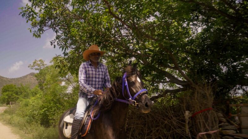 Rural Trail On Marwari Horseback At Private Ranch in 12Acres - Key Points