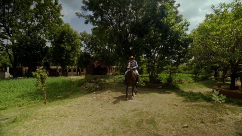 Rural Trail On Marwari Horseback At Private Ranch in 12Acres - Hands-on Horse Care