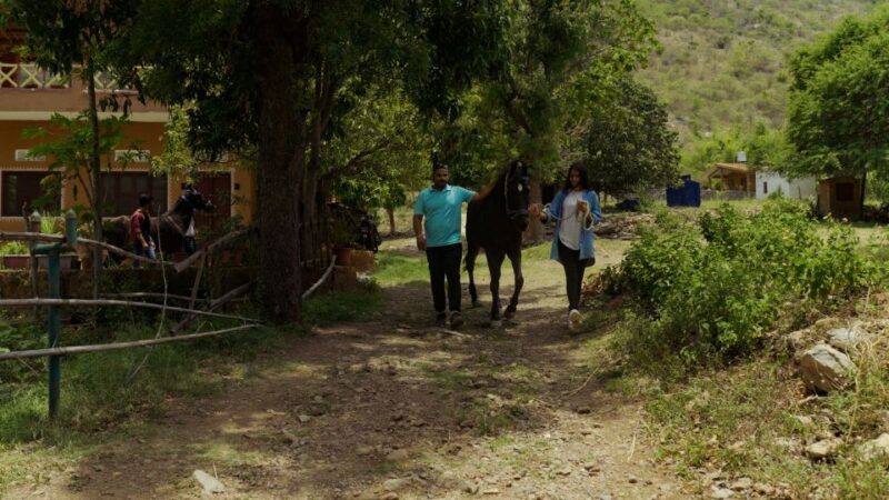 Rural Trail On Marwari Horseback At Private Ranch in 12Acres - Riding Lessons and Trail