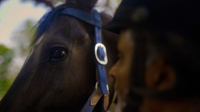 Rural Trail On Marwari Horseback At Private Ranch in 12Acres - Scenic Views and Landscapes