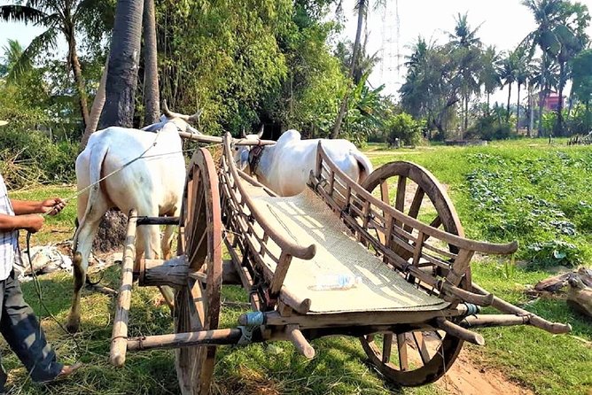 Rural Village With Ox Cart Journey & Monk Blessing - Key Points