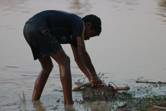 Rural Village With Ox Cart Journey & Monk Blessing - Booking Information